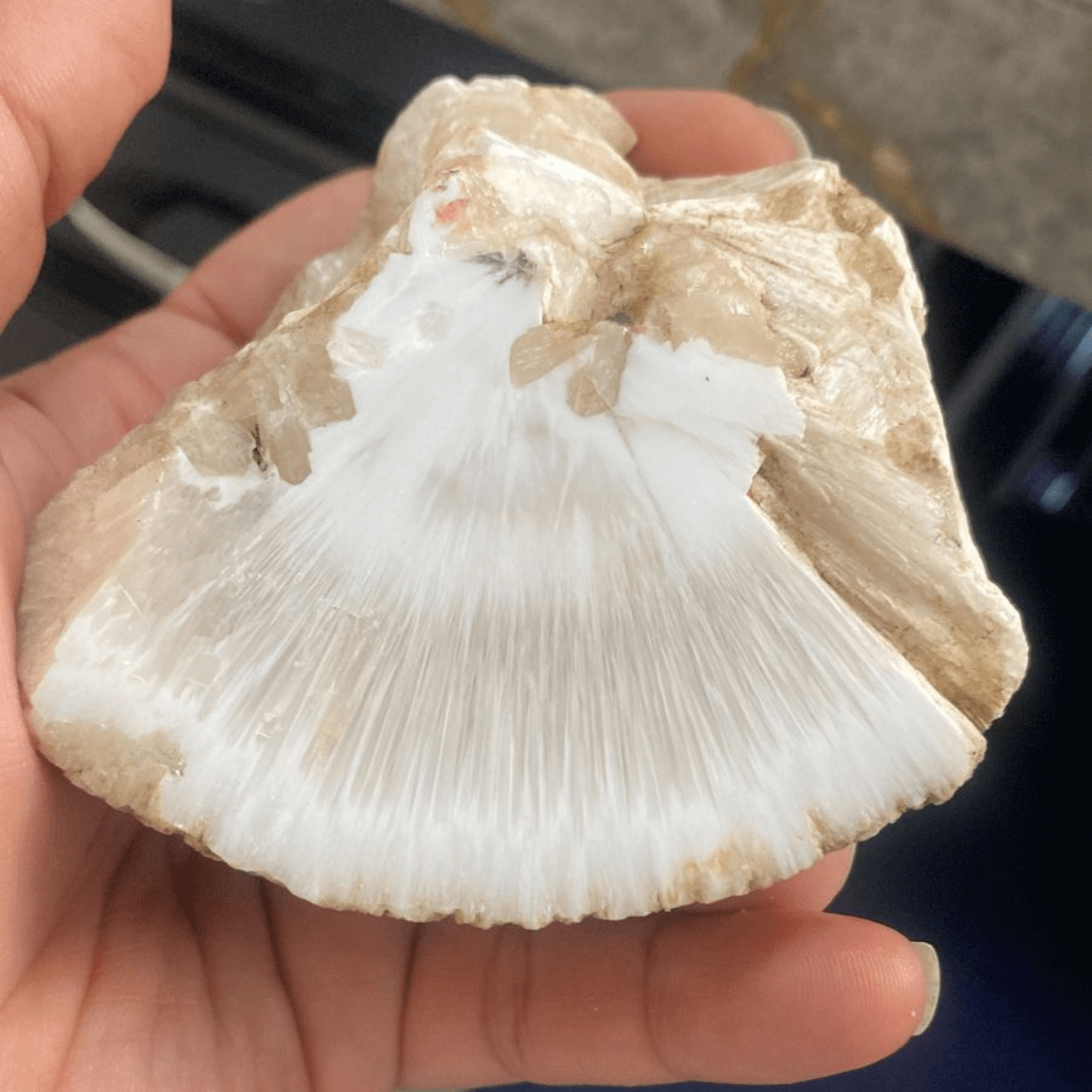 What's on your mind (2) (1)